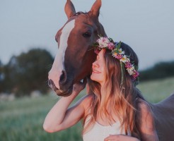女性が気になる馬プラセンタの優れた効能と安全性