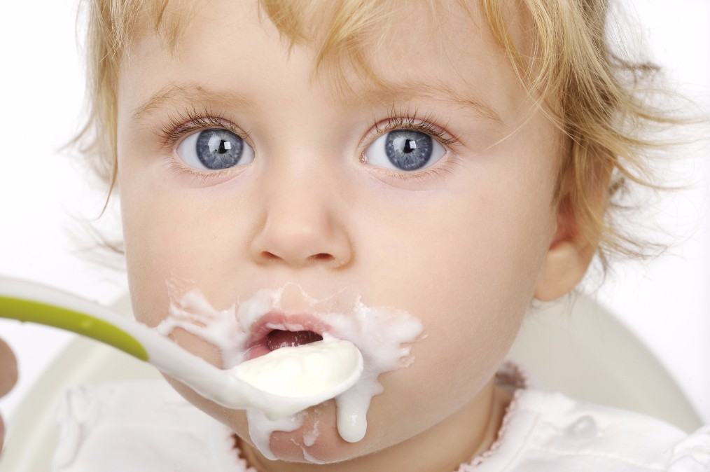 赤ちゃんに乳酸菌を！離乳食におけるヨーグルトの与え方